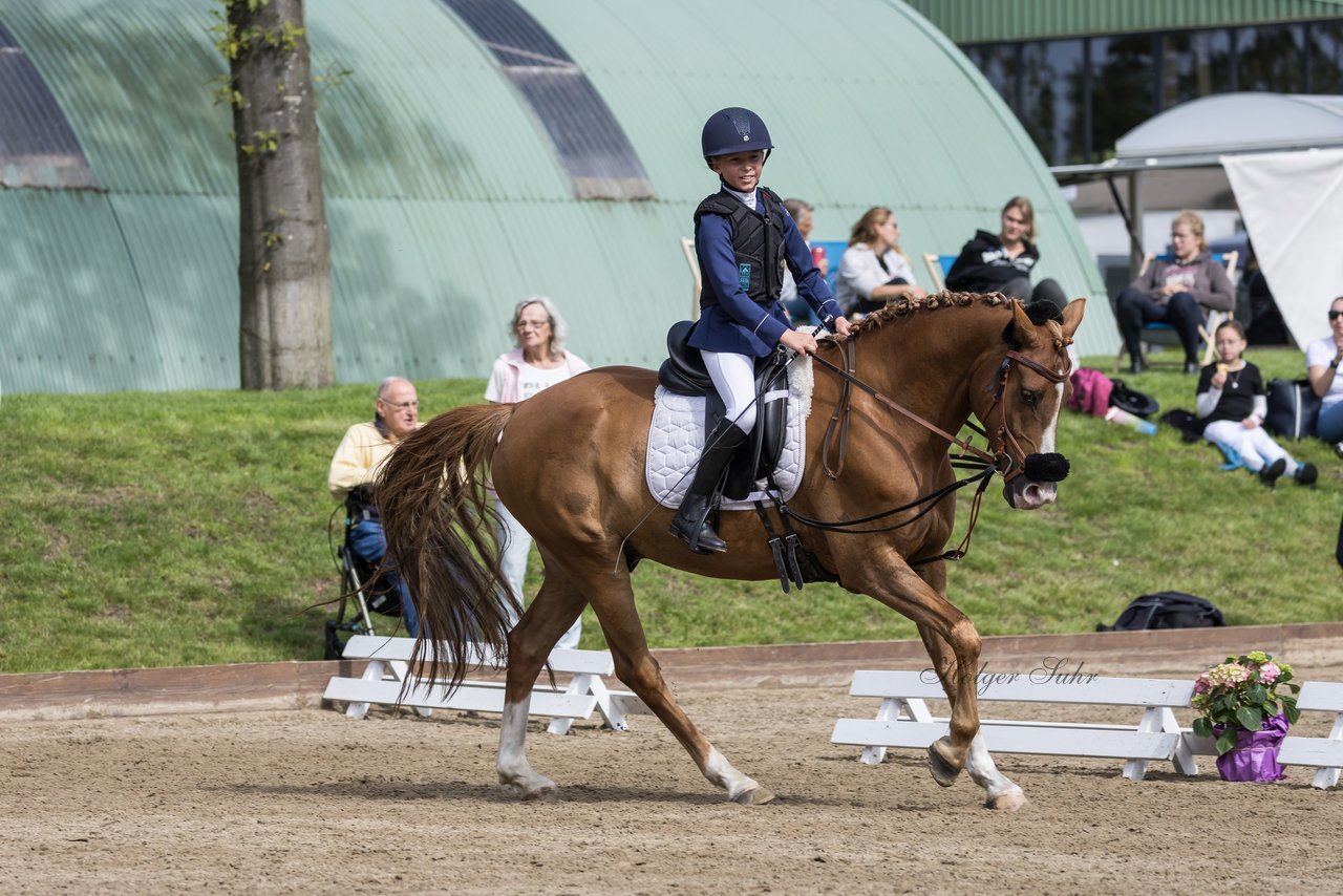 Bild 100 - Pony Akademie Turnier